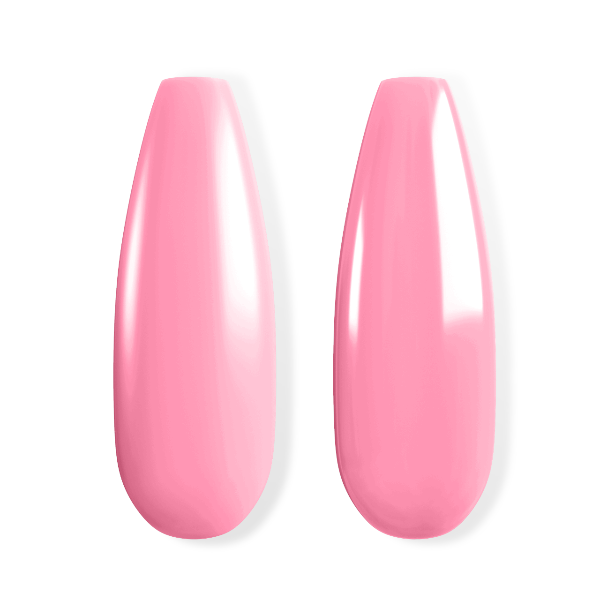 #06 - Rose Field - bundle